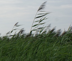 Der Weg ist das Ziel